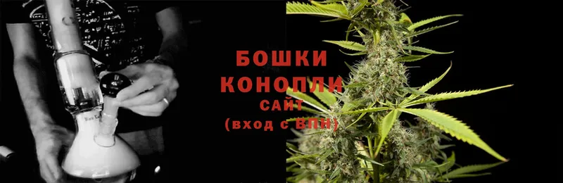 Канабис Ganja  Санкт-Петербург 